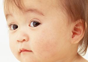 エルゴの最新作は特典付きで購入しよう